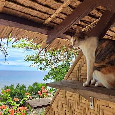 Paseo Del Mar Seaside Inn Jagna エクステリア 写真