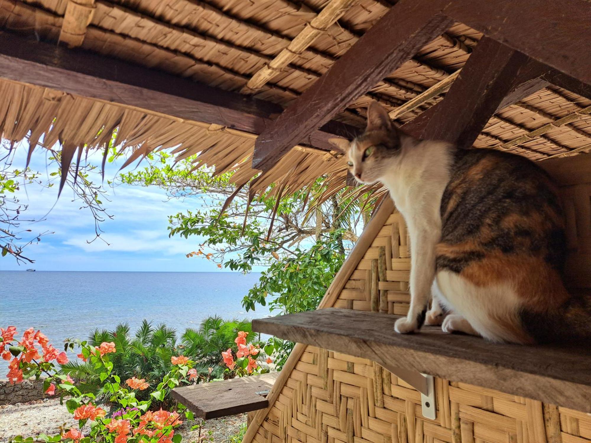 Paseo Del Mar Seaside Inn Jagna エクステリア 写真
