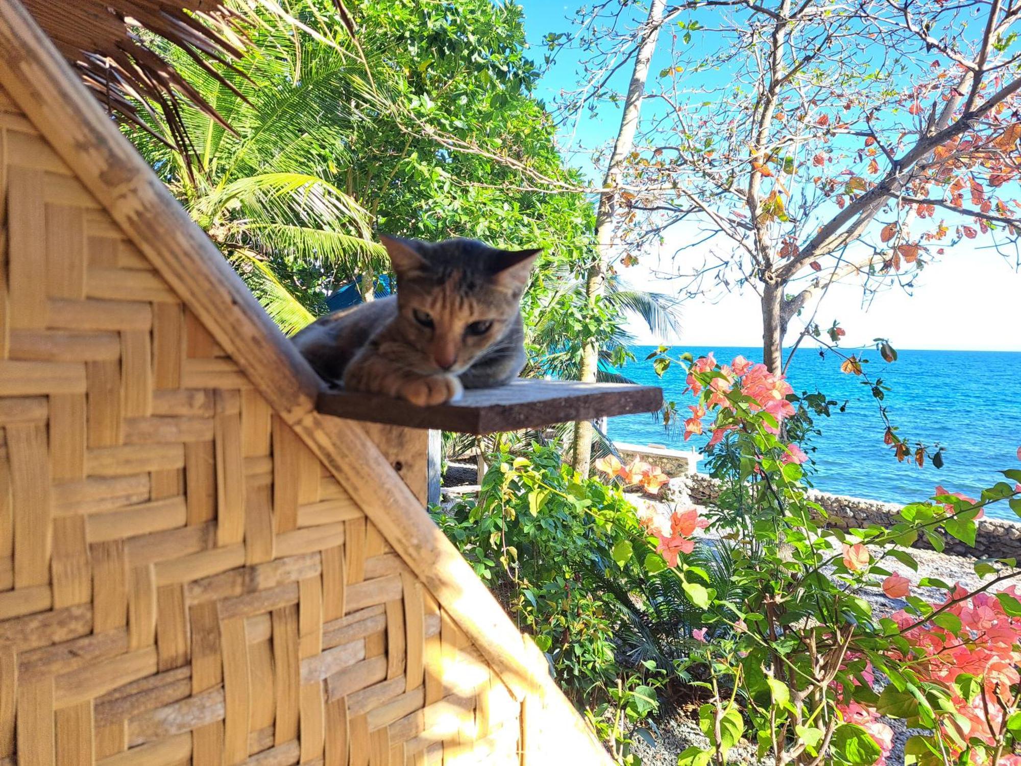 Paseo Del Mar Seaside Inn Jagna エクステリア 写真