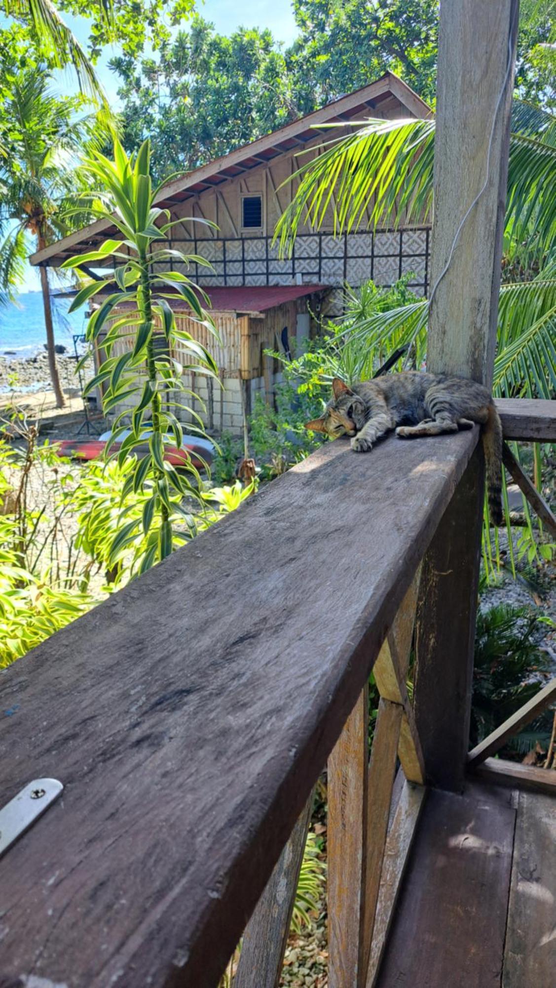 Paseo Del Mar Seaside Inn Jagna エクステリア 写真