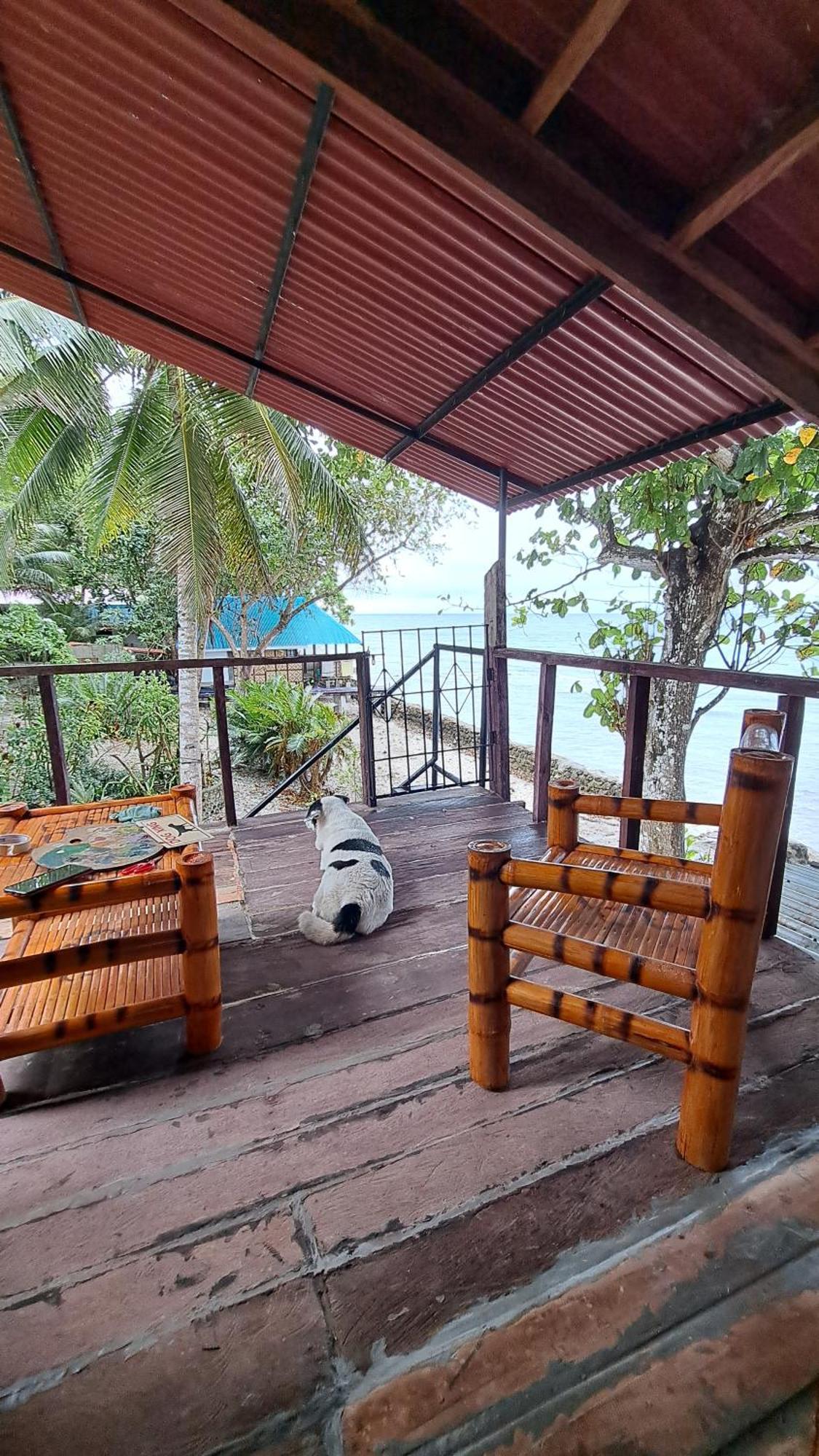Paseo Del Mar Seaside Inn Jagna エクステリア 写真