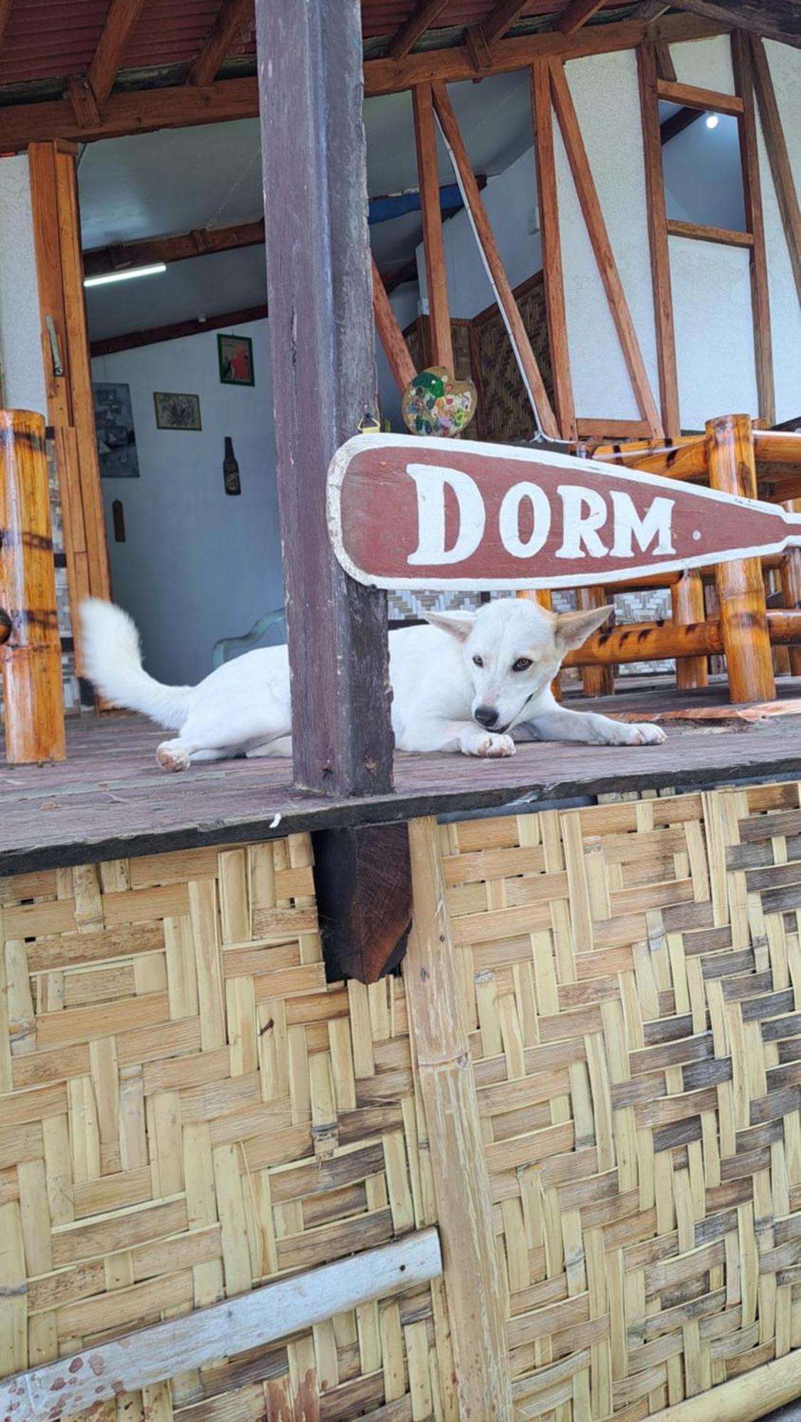 Paseo Del Mar Seaside Inn Jagna エクステリア 写真